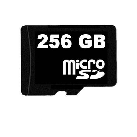 FREE 256 GB SD Card add on